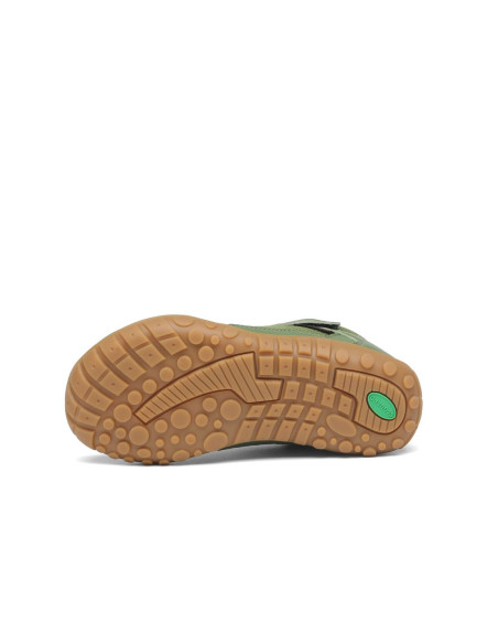 SAGUARO BRAVE I GREEN