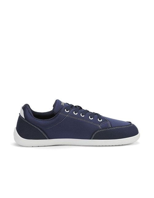 SAGUARO STELLAR I BLUE