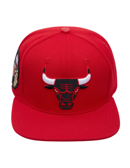 CAP CHICAGO BULLS LOGO RED