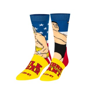 HULK VS. ANDRE HOMBRE...